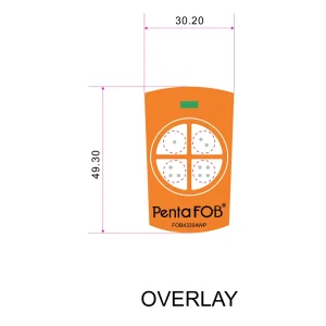 Custom FOB Remotes